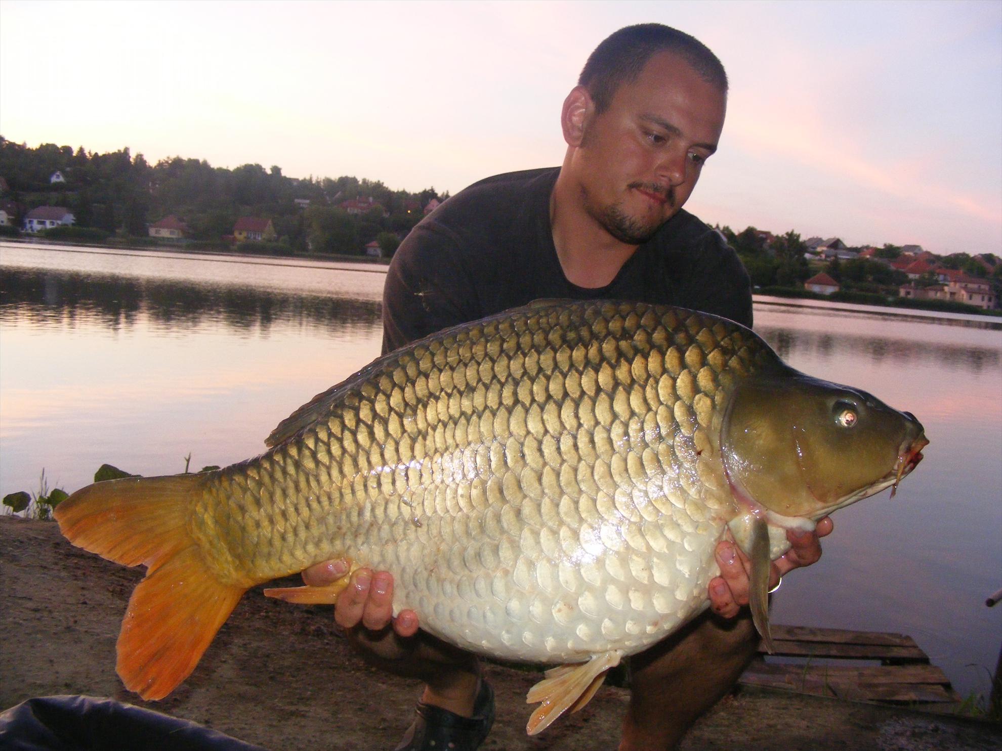 Harsanyi 2013 - dscf6422.JPG